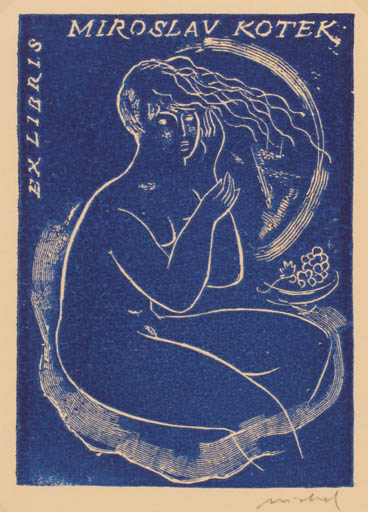 Exlibris by Rastislav Michal from Czech Republic for Miroslav Kotek - Woman Nude 
