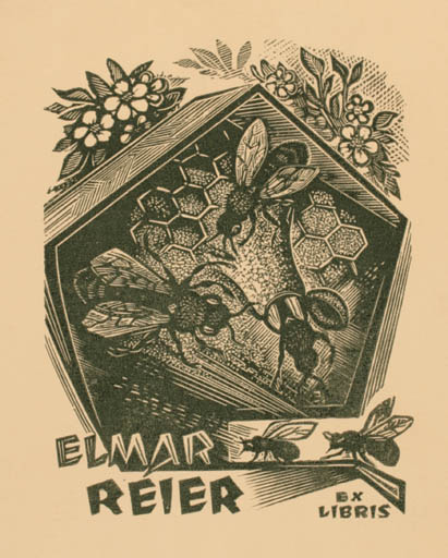 Exlibris by Johannes Juhansoo from Estonia for Elmae Reier - Insect 