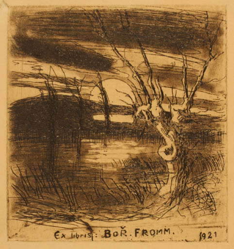 Exlibris by ? Unbekannt from Unknown for Bor. Fromm - Scenery/Landscape 